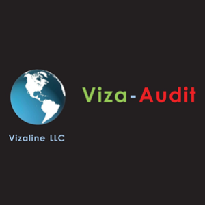 Vizaline LLC logo
