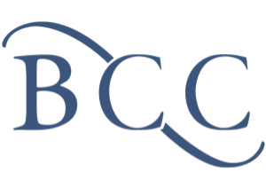 Organization Website